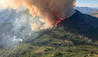Canadian insurers fortify homes as wildfire season kicks off