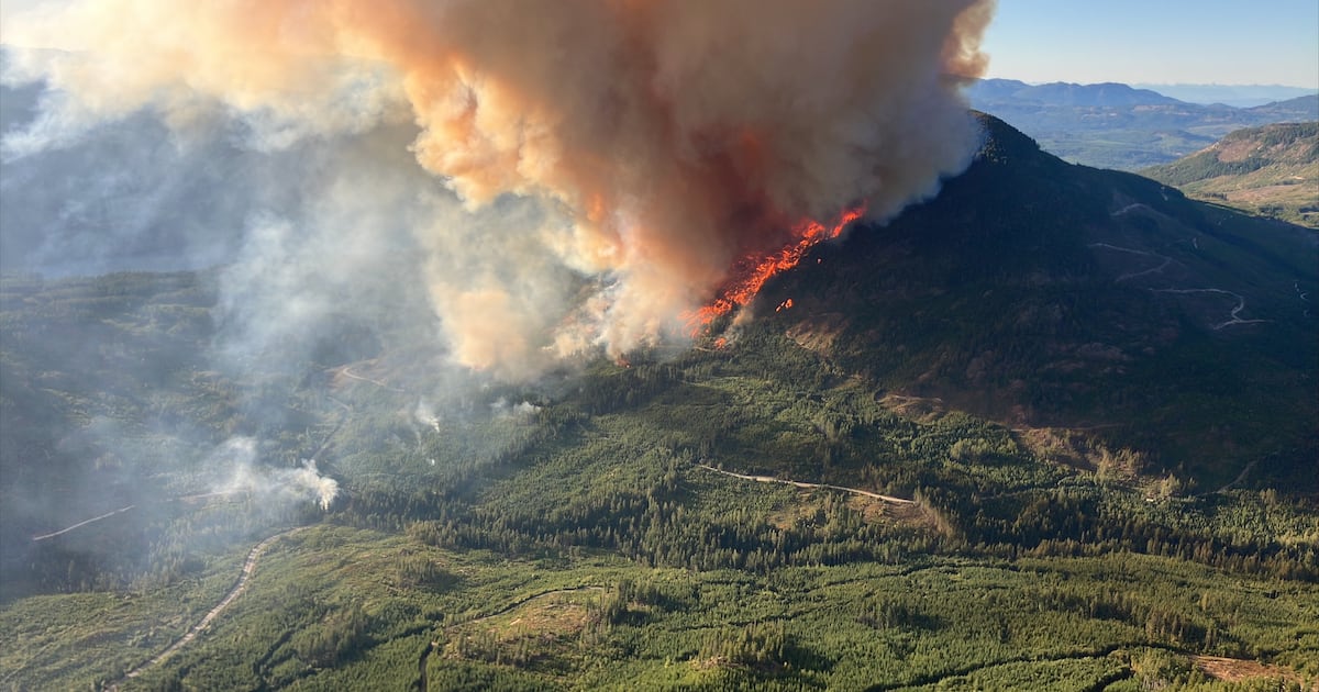 Canadian insurers fortify homes as wildfire season kicks off