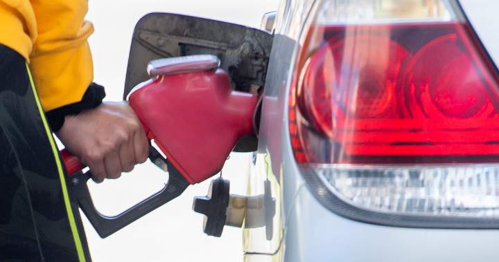 Gas prices are coming down in Canada, but experts warn it may not last - National