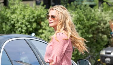 Britney Spears Enters Rehab Voluntarily After D.U.I. Arrest