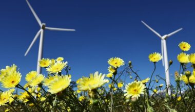 This spring has been a record season for renewables