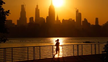 What happens to your body when you work out before you eat