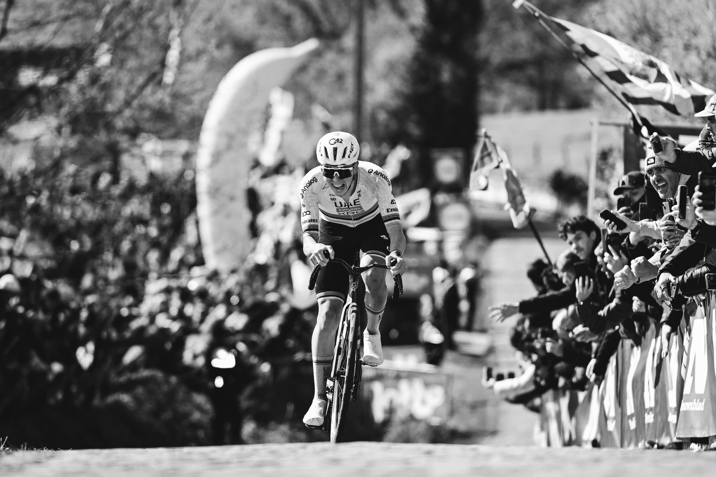 Tadej Pogacar during his victorious Tour of Flanders performance (Photo: Dario Belingheri/Getty Images)