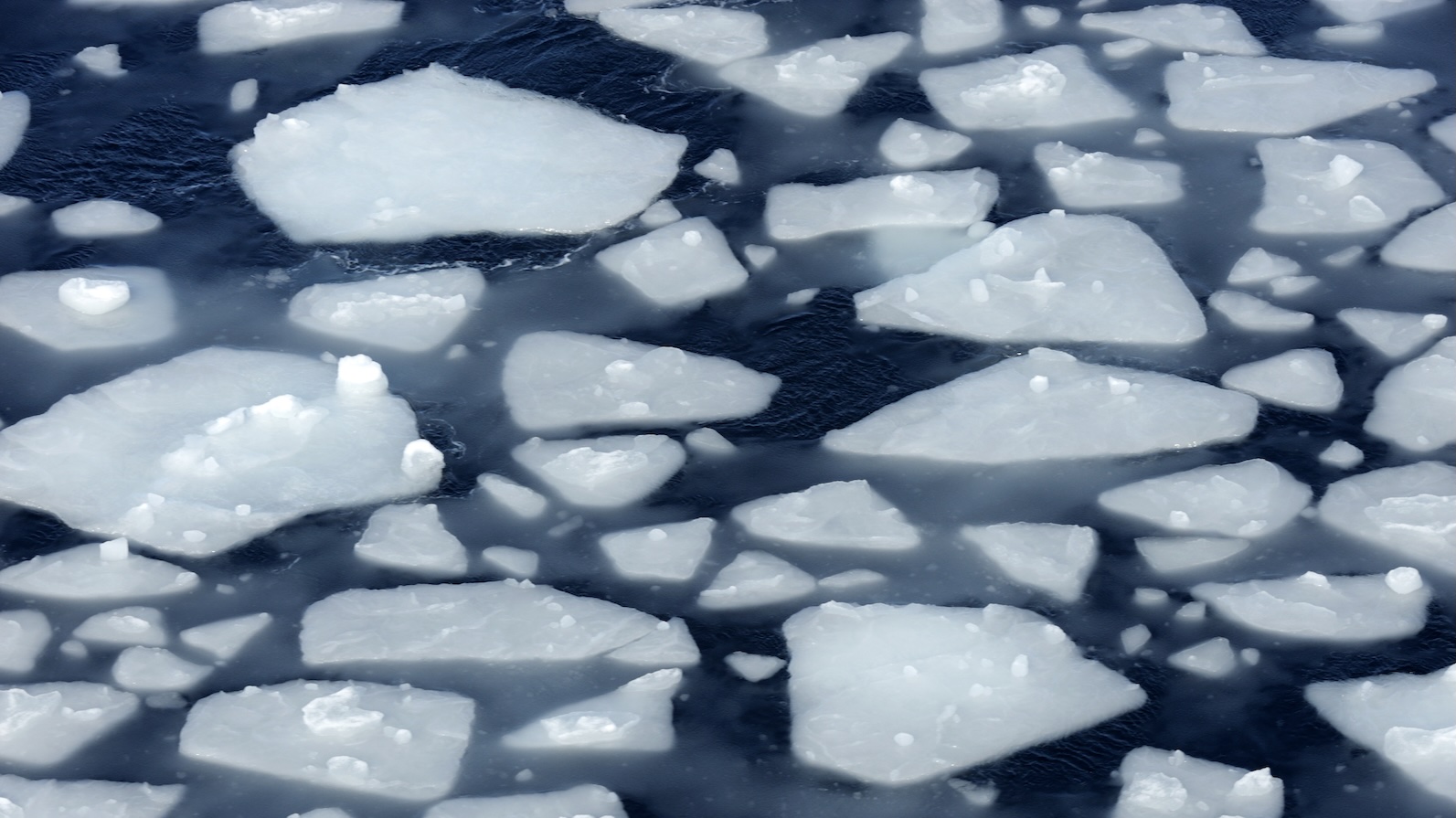 Diving robots help crack the mystery of Antarcticas' vanishing sea ice