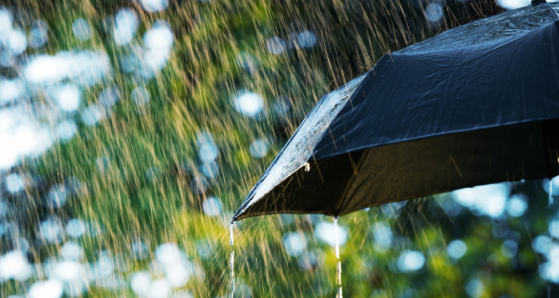 Tomorrow's Weather Winnipeg (Apr 27): Cool with Light Showers, Windy