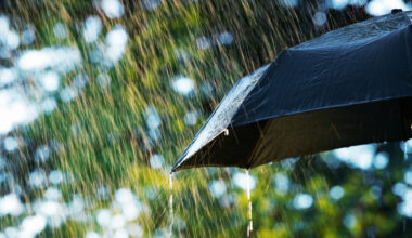 Tomorrow's Weather Winnipeg (Apr 27): Cool with Light Showers, Windy
