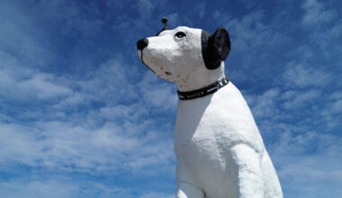 A giant statue of Nipper the dog sits atop a building in the warehouse district in Albany, N.Y., Tu...