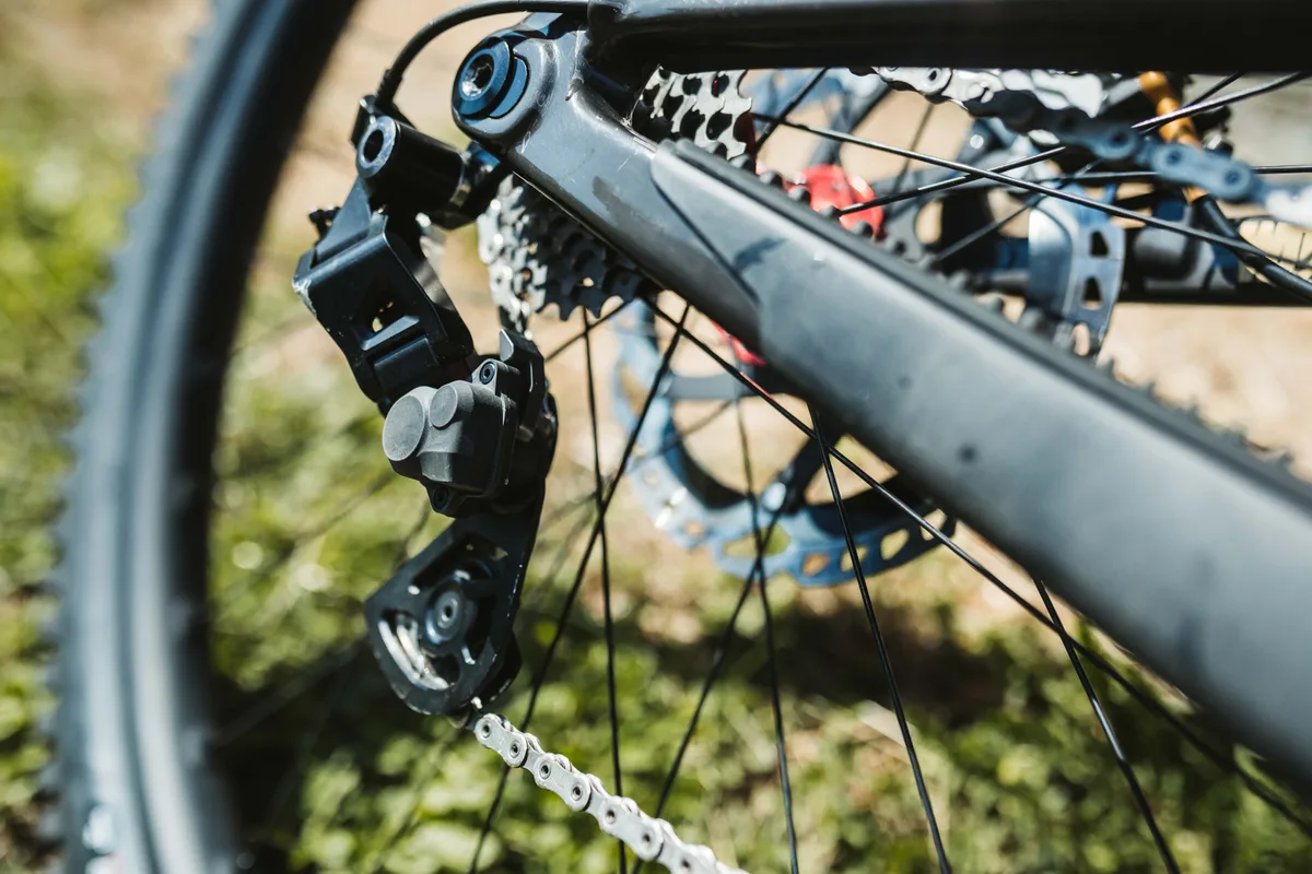 Greg Minnaar's 2022 Santa Cruz V10