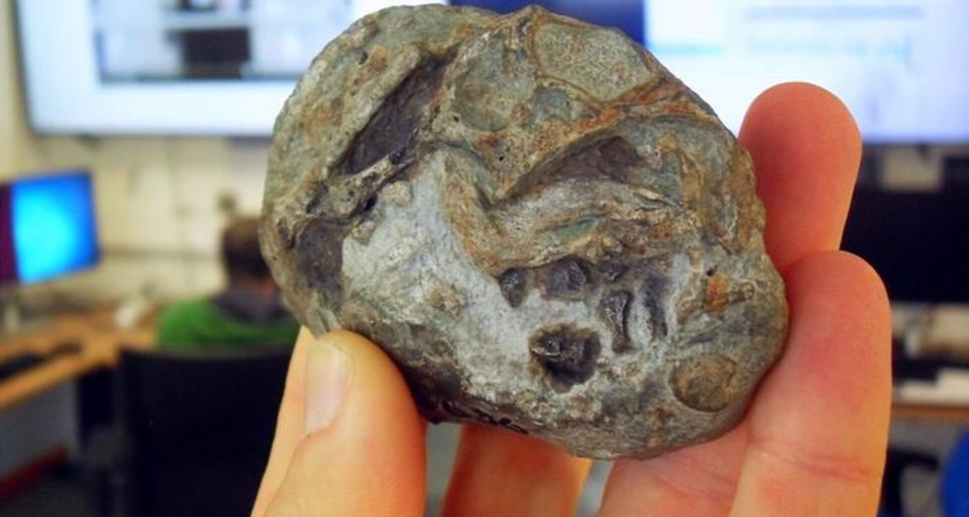 An ovular shape fossil is held in someone's hand.