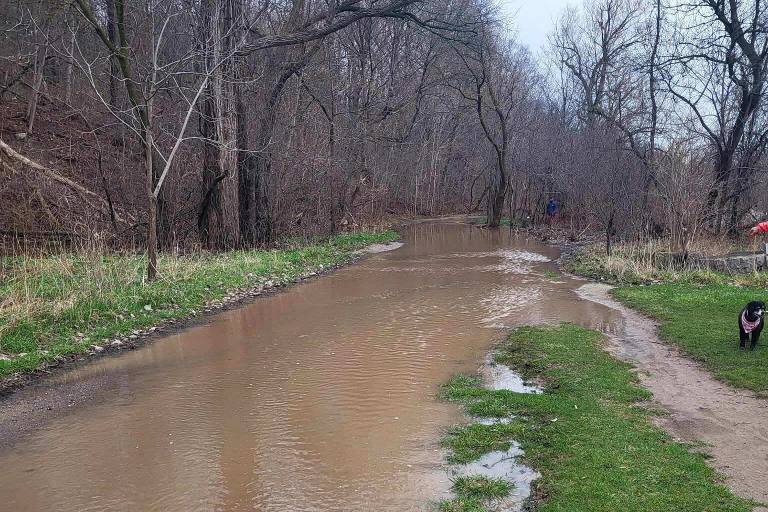 mississauga flooding