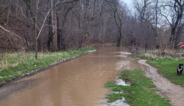 mississauga flooding