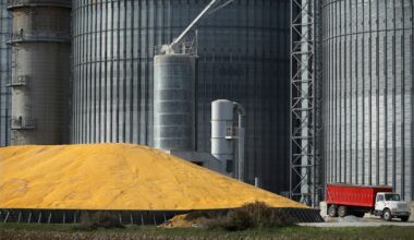 Wednesday’s analyst upgrades and downgrades