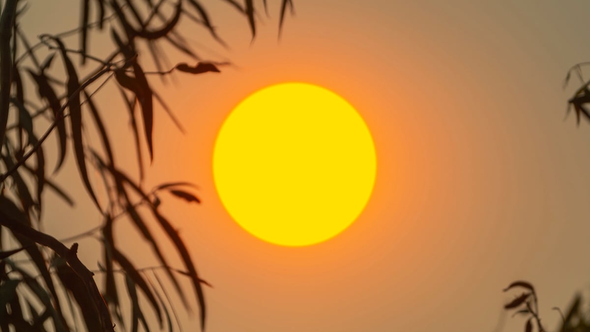 Almost 30% of Us Face 5x More Heat-Drought Extremes by End of Century : ScienceAlert