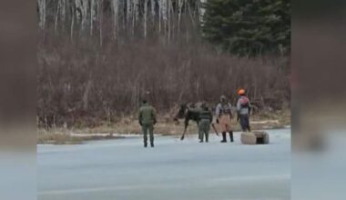 Moose rescued after falling through ice in Manitoba’s Nopiming Provincial Park - Winnipeg
