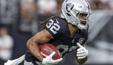 Calgary Stampeders sign ex-Hamilton Tiger-Cats RB Tyreik McAllister