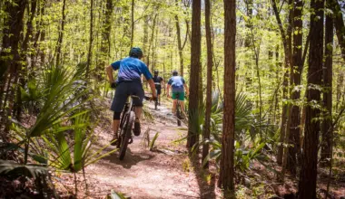 Where Trails Lead, Communities Follow: IMBA Names 2026 Trail Towns - Cycling West