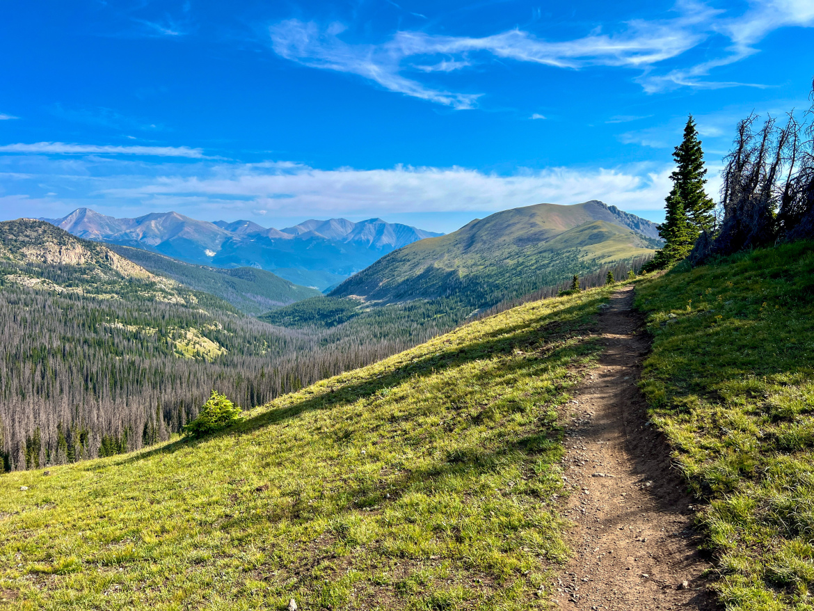 The Monarch Crest Trail's doubletrack downhill is being replaced with 1.8 miles of singletrack