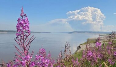 NWT in line for late start to boreal fire season, outlook suggests