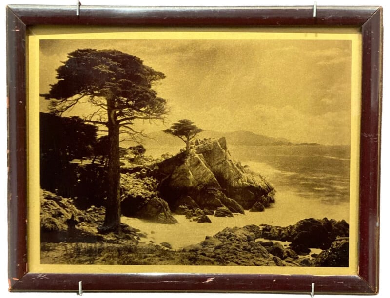 Framed sepia-toned photograph of a rocky coastline with a large tree in the foreground, smaller tree on a rock, and mountains in the distance across calm water.