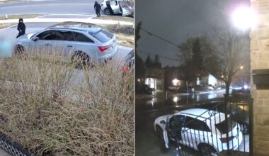 3 suspects charged, 1 at large