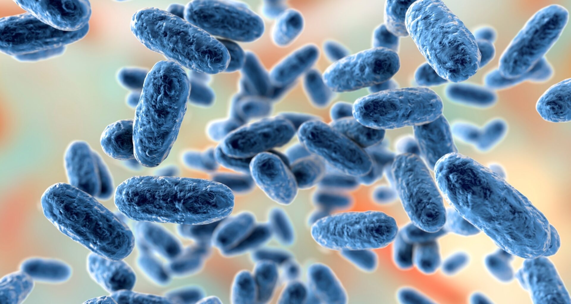 Study: Pertussis resurgence after the COVID-19 pandemic in four Western Pacific Countries and the USA, highlighting the 2025 outbreak in Japan. Image Credit: Kateryna Kon / Shutterstock