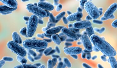 Study: Pertussis resurgence after the COVID-19 pandemic in four Western Pacific Countries and the USA, highlighting the 2025 outbreak in Japan. Image Credit: Kateryna Kon / Shutterstock