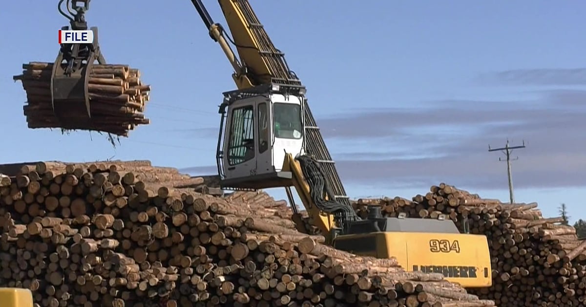 Northern Ont. sawmills idled ‘indefinitely’ because of U.S. tariffs - CTV News