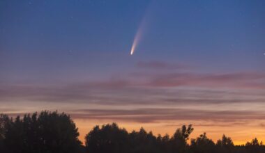 A bright streak of pink and white light is seen in a light purple and orange dusky sky as a comet moves above silhouetted trees below.
