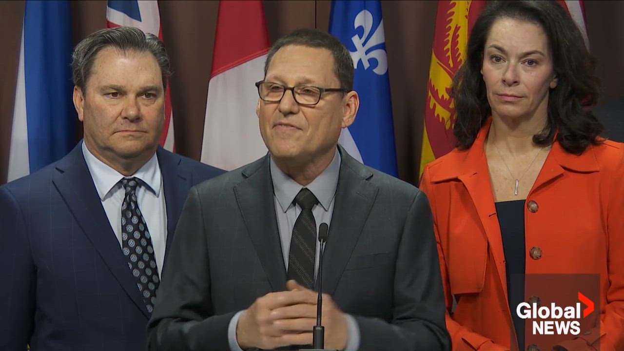 Click to play video: 'Retail giants using personal data for digital pricing ‘downright dystopian,’ NDP Leader Lewis says'