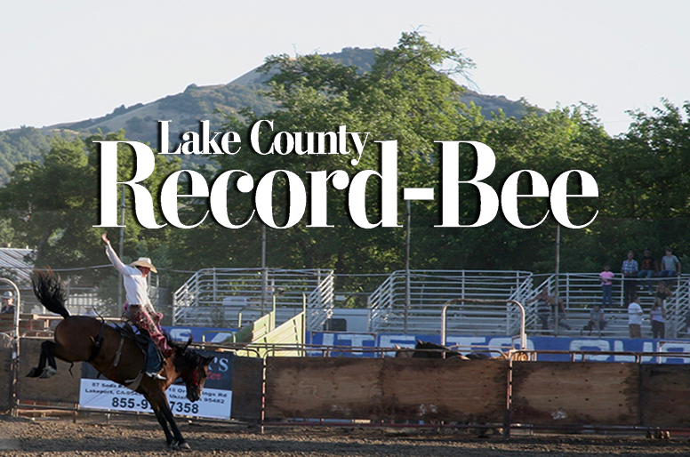 record-bee default image