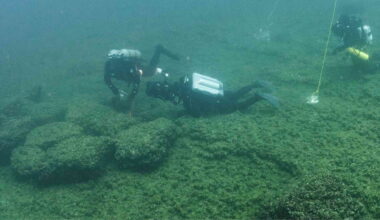 Lake Huron John Oshea Tane Casserly