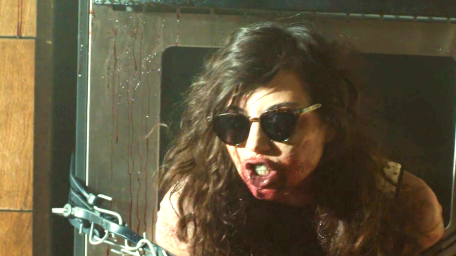 Life After Beth 2014