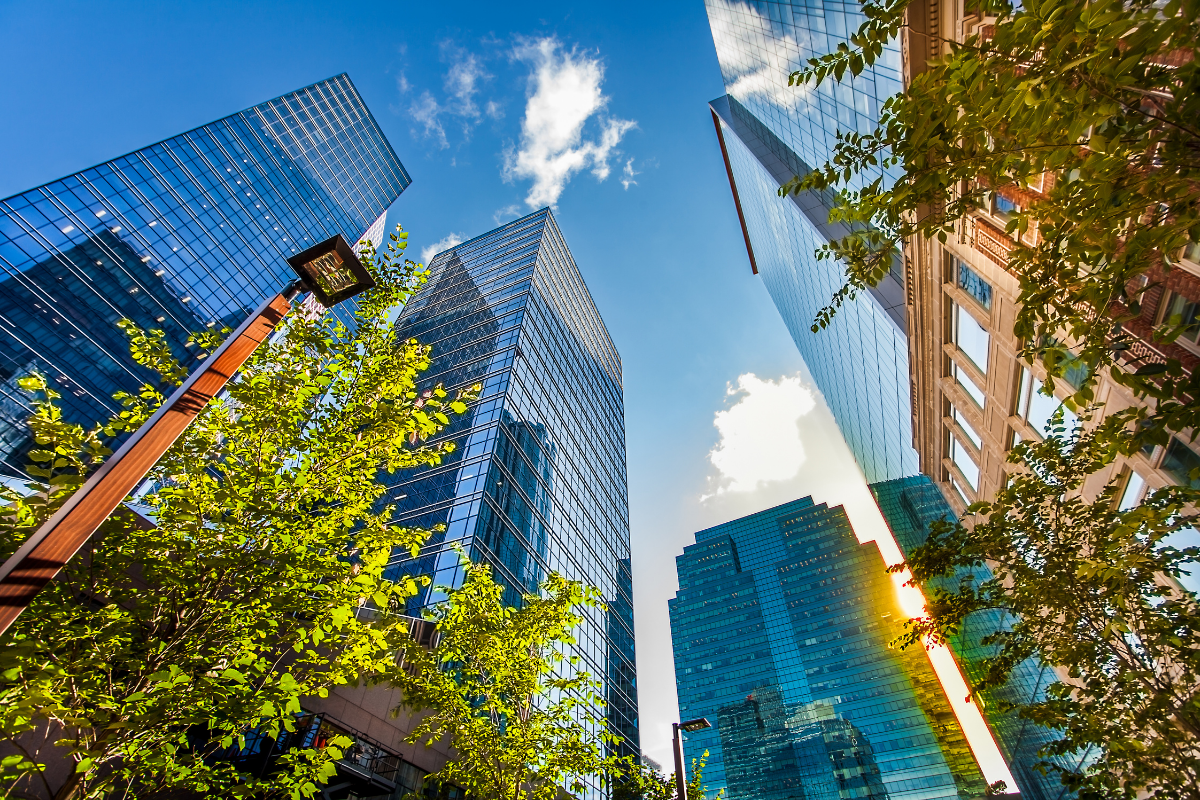 A view from street level of downtown Edmonton
