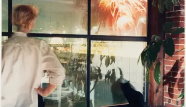 Surrey Art Gallery probes Expo 86’s artistic legacy with In the Shadow of the Pavilions — Stir