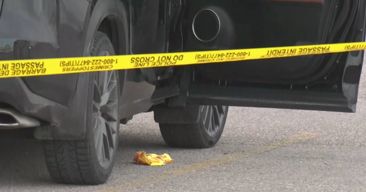 Calgary man charged with attempted murder in CrossIron Mills stabbing - CTV News