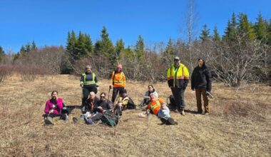 Jack and Lilly Sullivan’s mother joins search party nearly a year after their disappearance