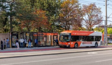 mississauga considers letting canadian armed forces members ride buses for free.