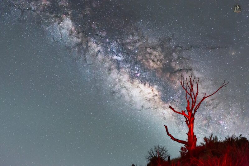 Glowing band with dark streaks stretches across a starry sky above a bare tree.