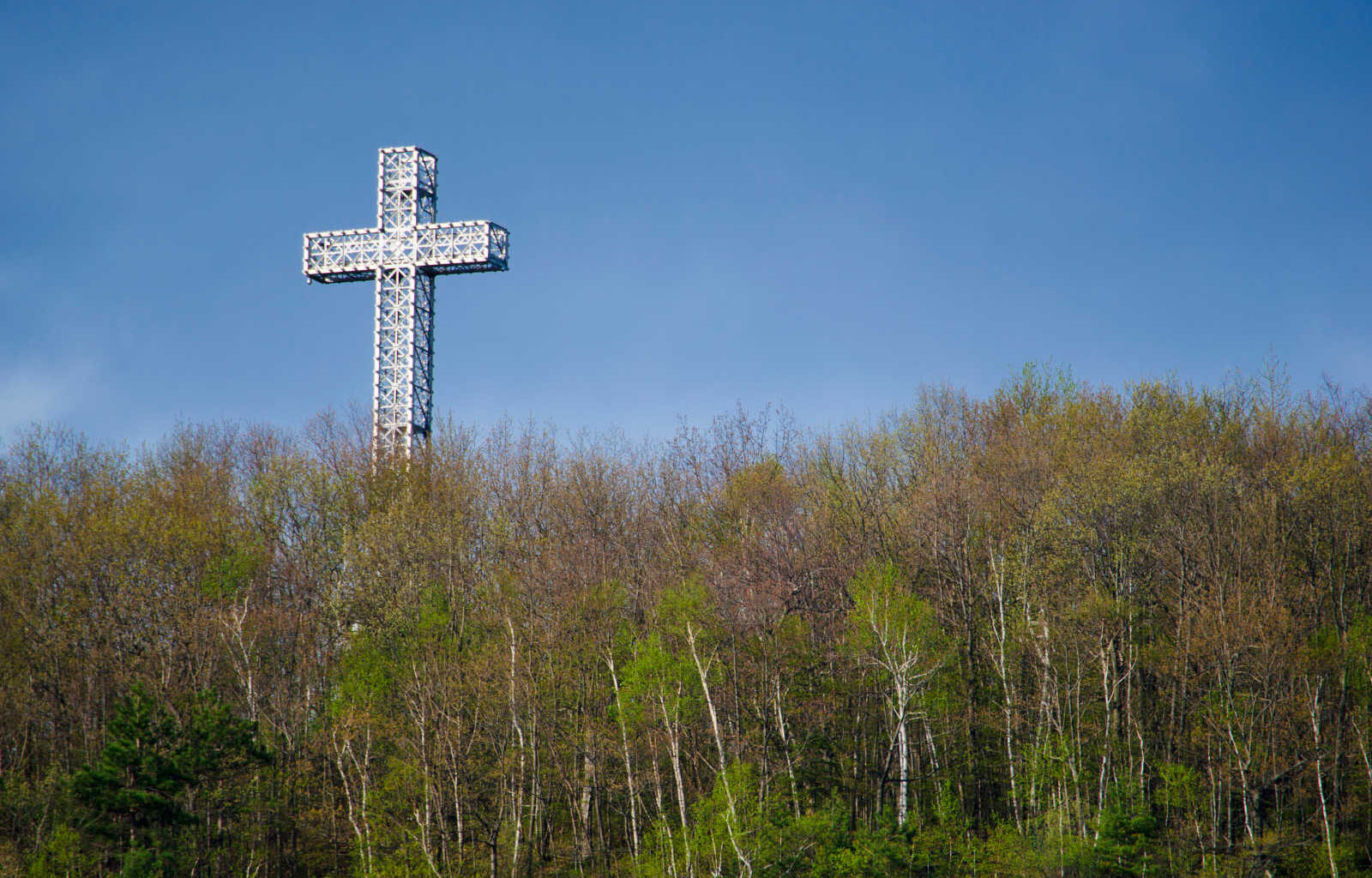 Montreal pauses bike lane expansion after mayor previously dismissed reports