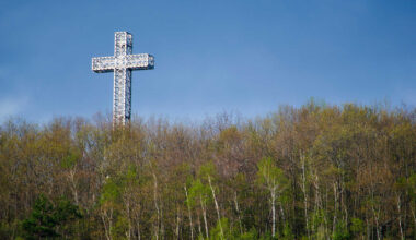 Montreal pauses bike lane expansion after mayor previously dismissed reports
