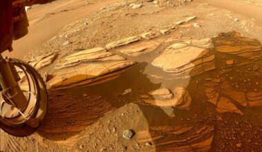 Nasa’s Perseverance Rover Has Discovered Hidden Gemstones Never Before Seen On Mars