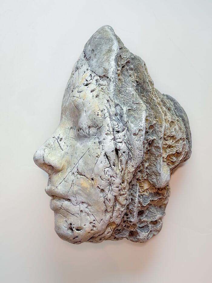 The Entropic Human