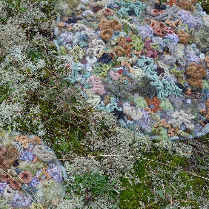 Mending Nature