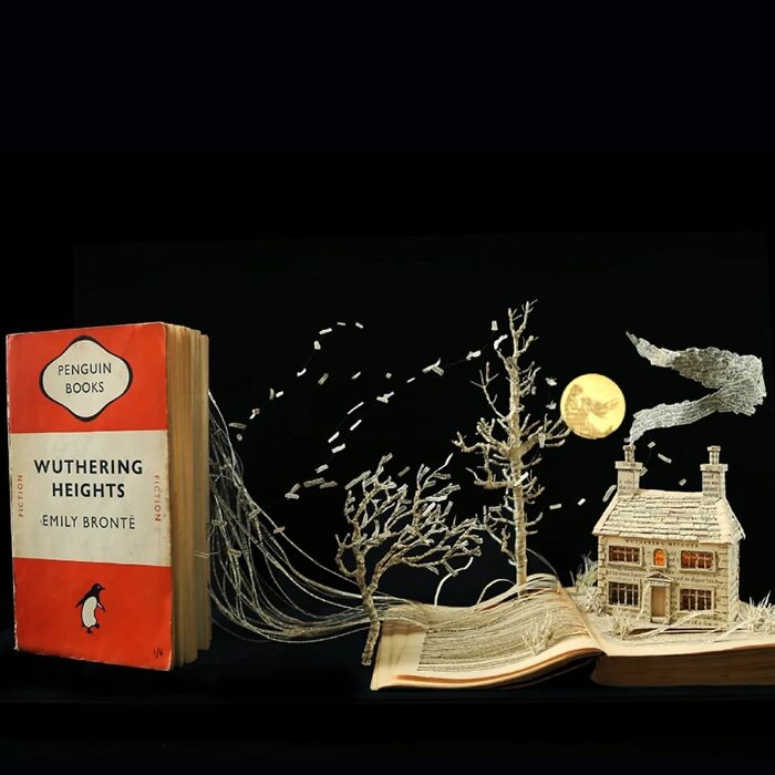 The Book Collector