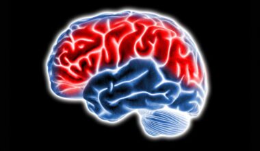 New nasal spray reverses brain aging in breakthrough study