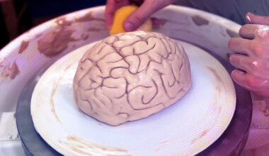 A New Type of Neuroplasticity Rewires the Brain After a Single Experience