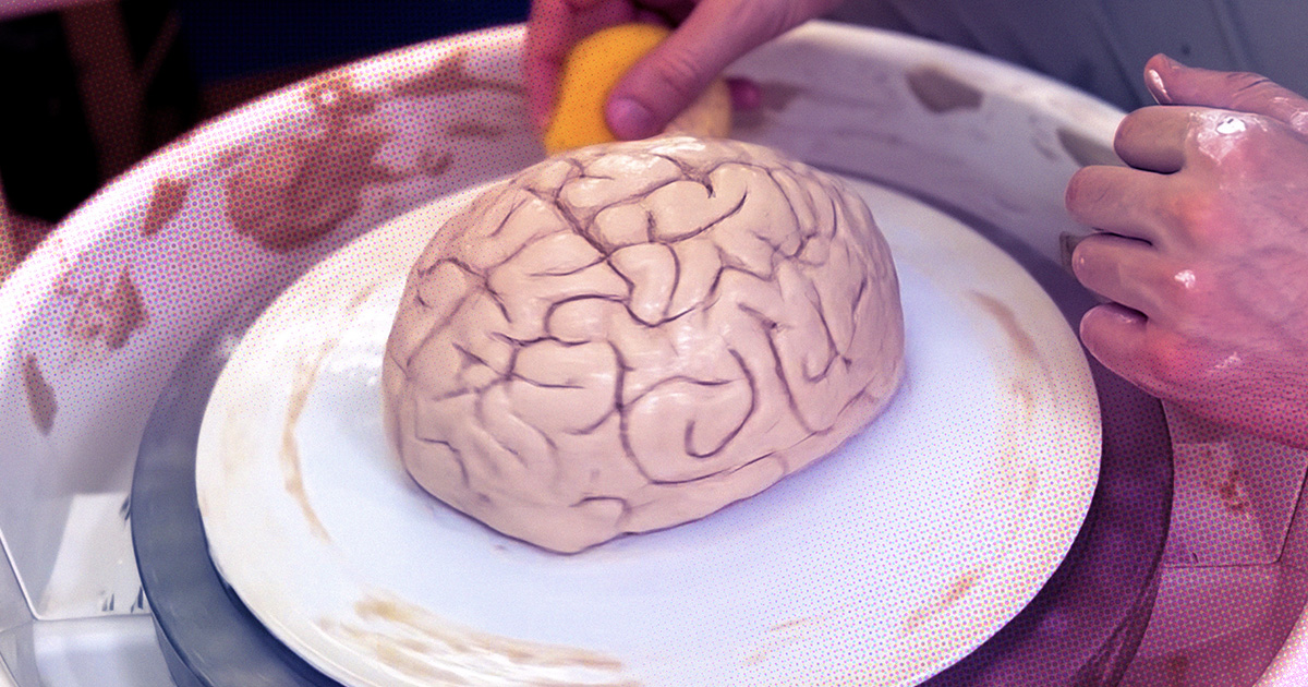 A New Type of Neuroplasticity Rewires the Brain After a Single Experience