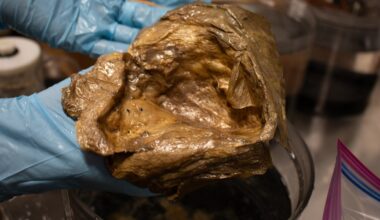Scientists identify deep sea 'golden orb' found near Alaska