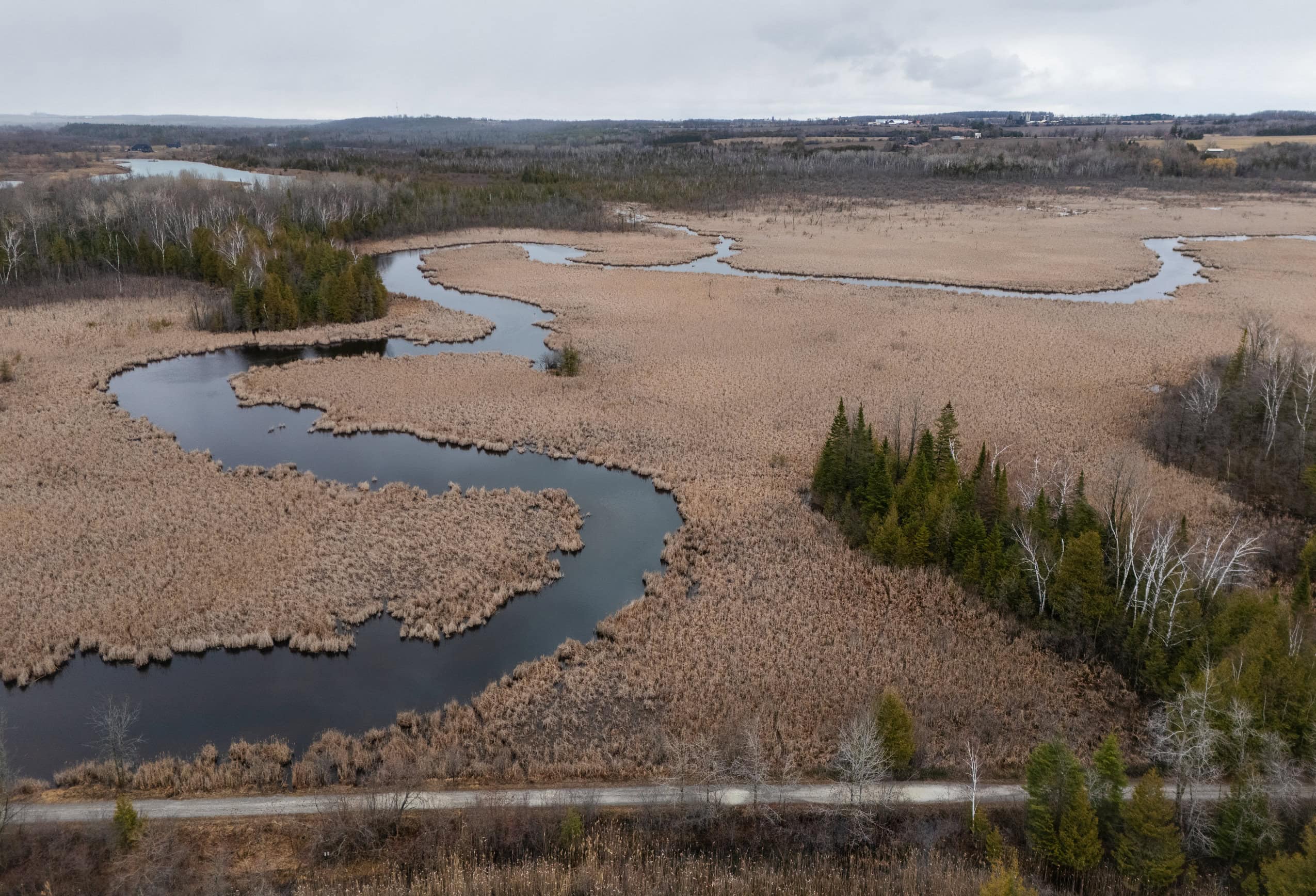 An aerial view of a wetland in early spring.
