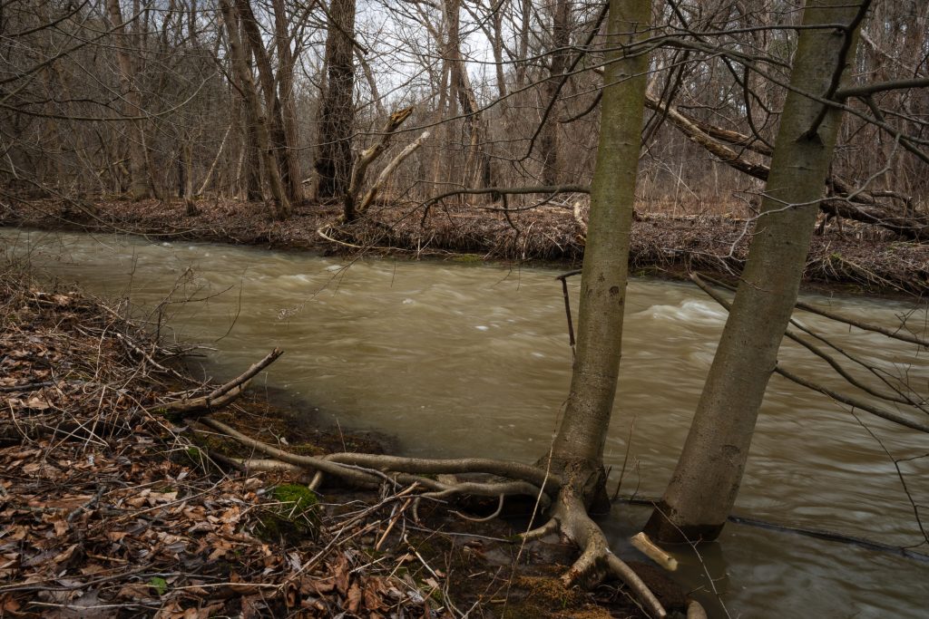 A stream flows through a forested area in early spring, before the buds or any green vegetation has emerged.